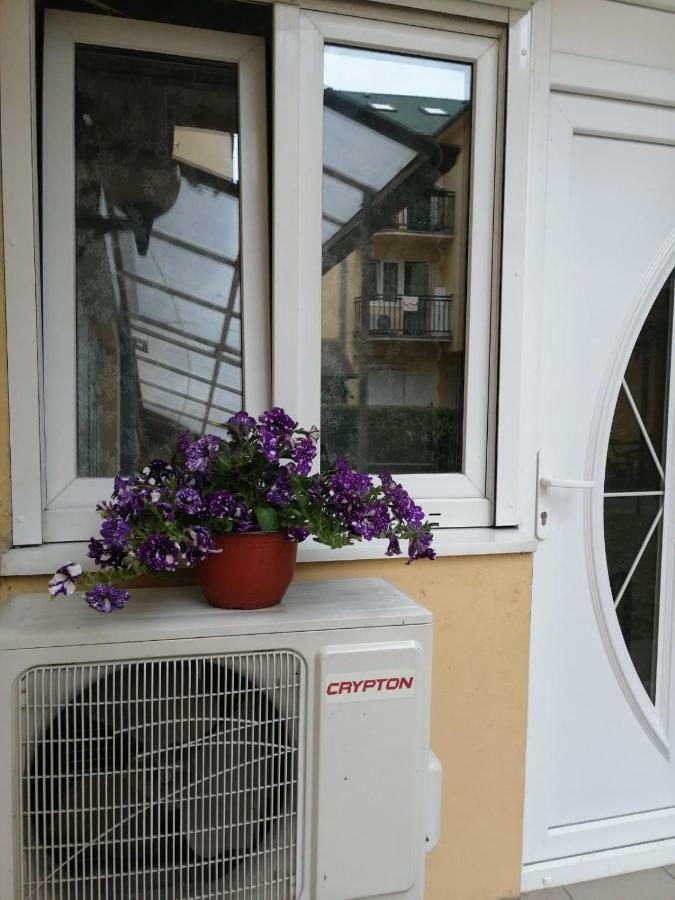 Apartman "Garden" Novi Sad Exterior photo